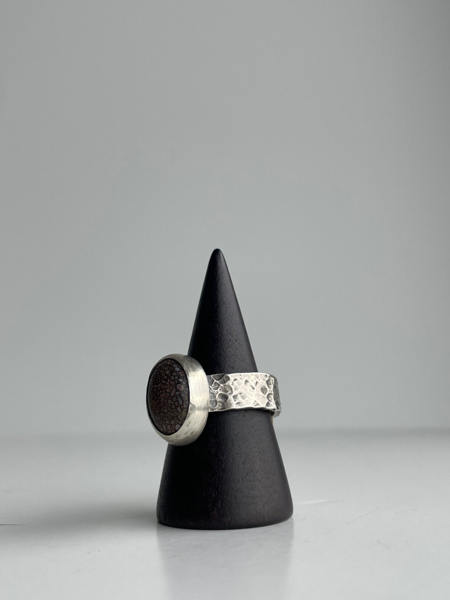 Dinosaur Bone and Sterling Ring - US 8.25