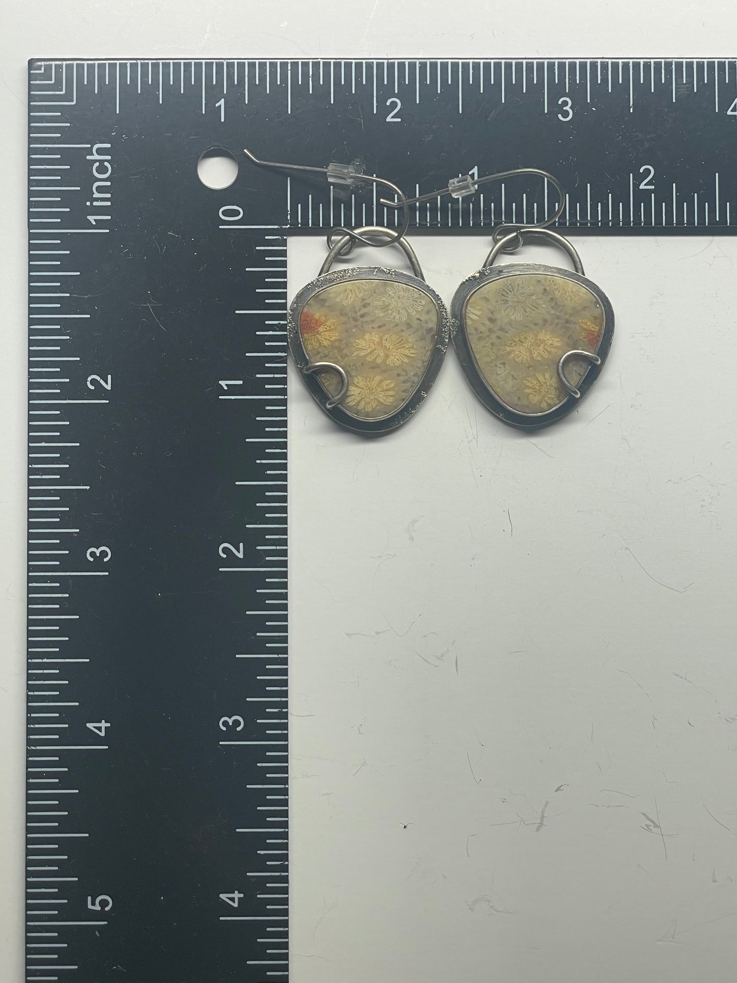 Fossilized Coral and Sterling Earrings